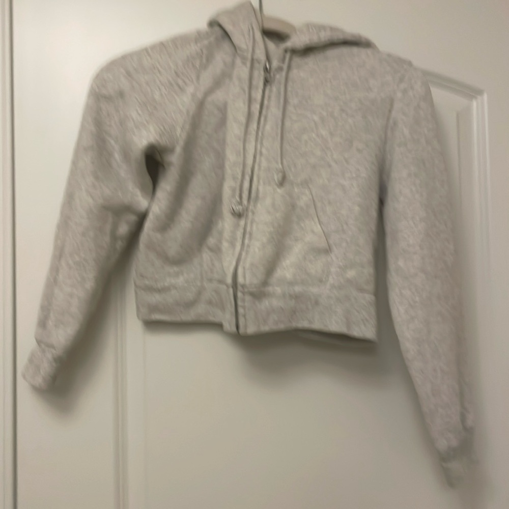 Pacsun/Brandy Melville John Galt Cropped Gray Hoodie